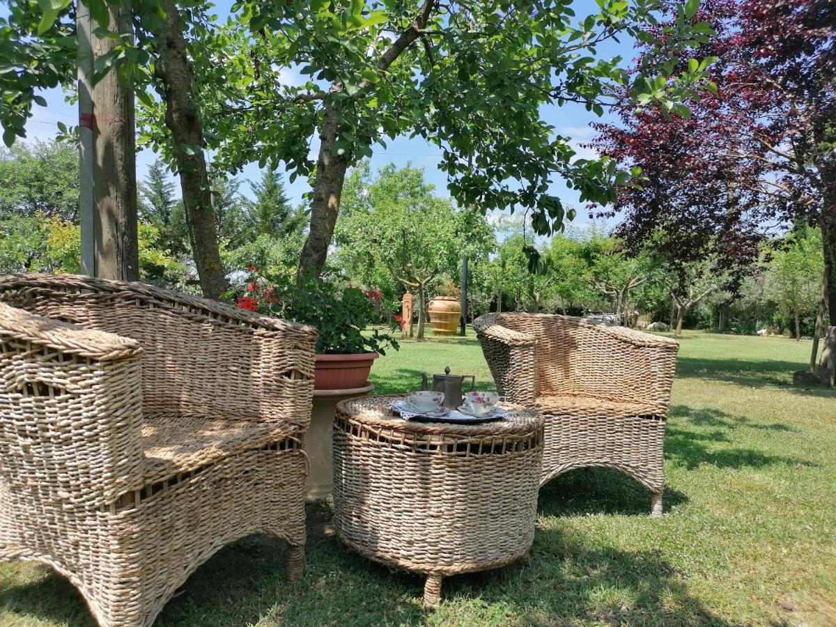 Podere Piandarca Terranuova Bracciolini Eksteriør bilde