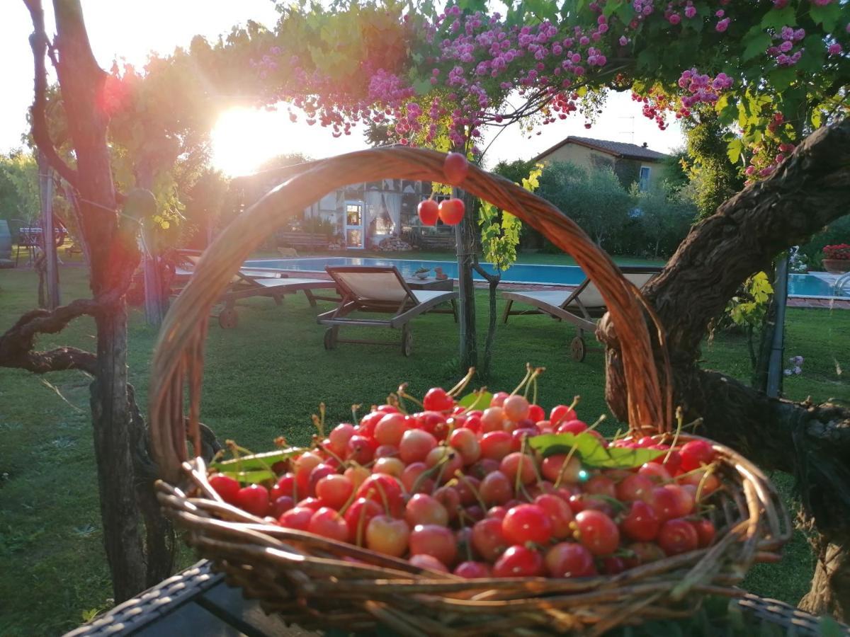 Podere Piandarca Terranuova Bracciolini Eksteriør bilde