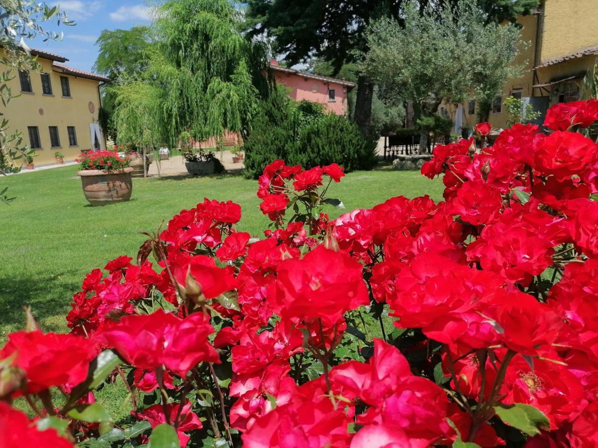 Podere Piandarca Terranuova Bracciolini Eksteriør bilde