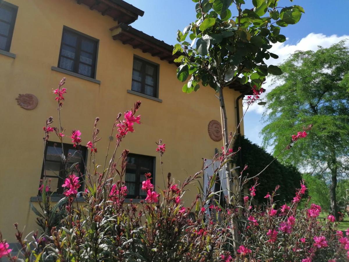 Podere Piandarca Terranuova Bracciolini Eksteriør bilde