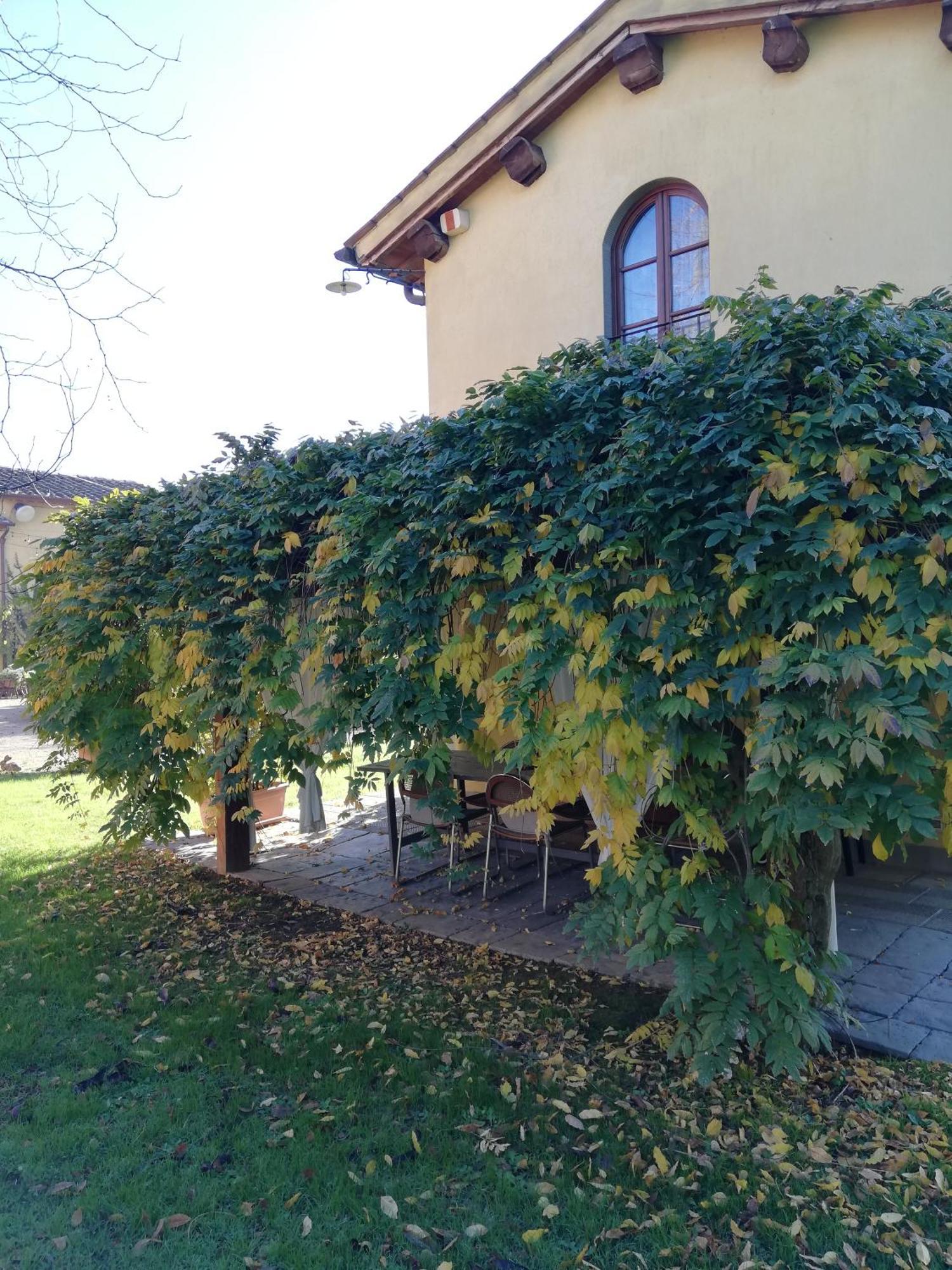 Podere Piandarca Terranuova Bracciolini Eksteriør bilde
